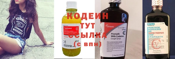 прущие грибы Баксан