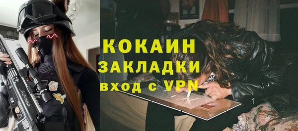 прущие грибы Баксан