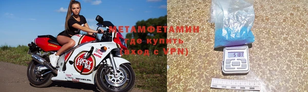 прущие грибы Баксан