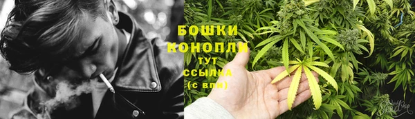 прущие грибы Баксан