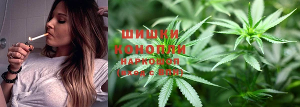 прущие грибы Баксан
